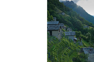 Bianco, Rosato e Metodo Classico